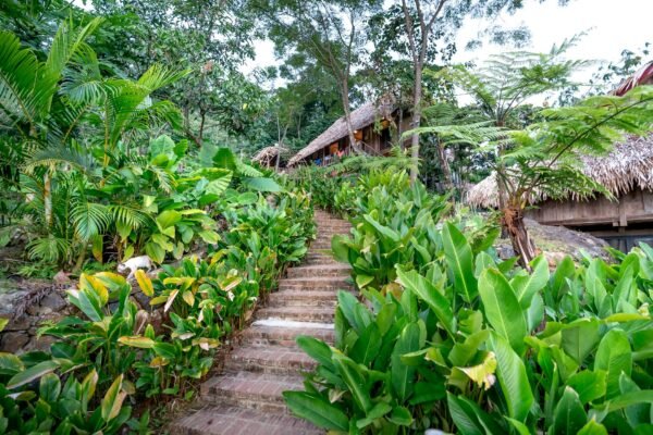 Villa Paddy Retreat: Stunning & Affordable Tropical Hideaway